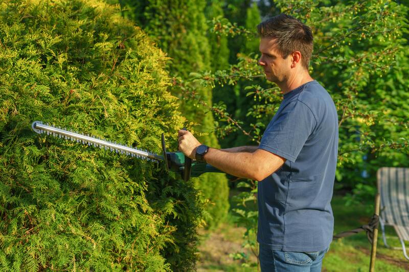 String Trimmers courtesy of https://www.pexels.com/photo/man-cutting-hedge-with-a-trimmer-in-the-garden-24595771/