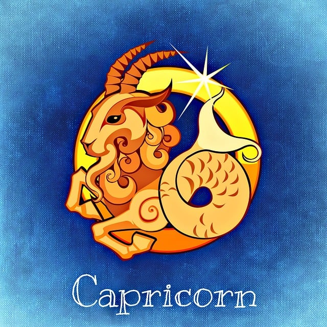 horoscope, capricorn, astrology, zodiac sign