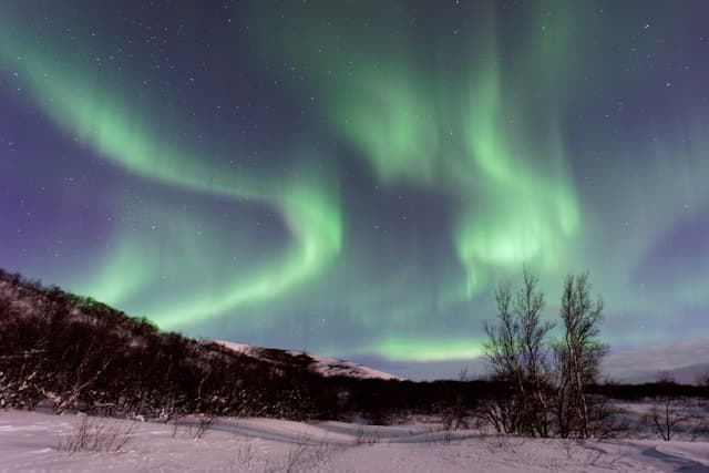 Wild Icelandic Aurora Survival Guide