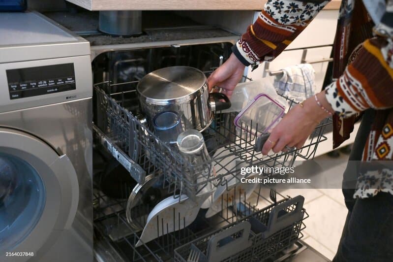 Dishwasher Cleaner