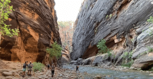 visit, travel, Zion National, park, nature