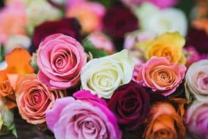 roses, flowers, Valentine's Day, bouquet, rose, romance