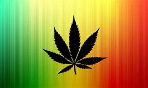 Weed