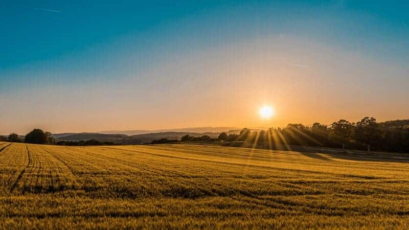 gardening, lighting, vegetables, fruits, indoor, outdoor, field, farm,