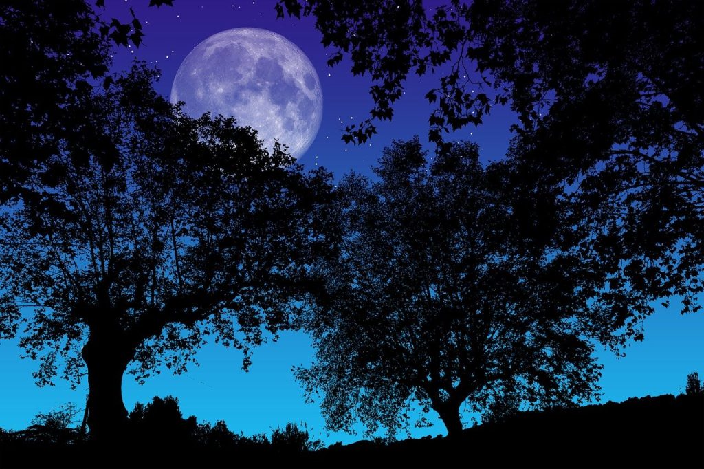full moon, pink full moon, libra, sagittarius daily horoscope
