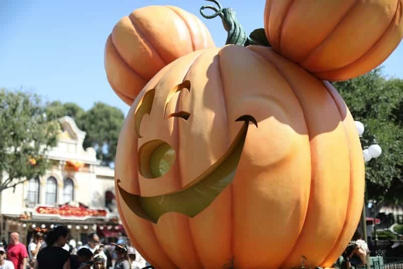 Disneyland