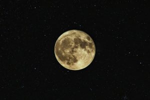 Flower Moon