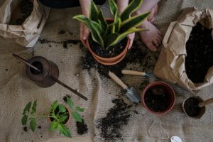 Gardening