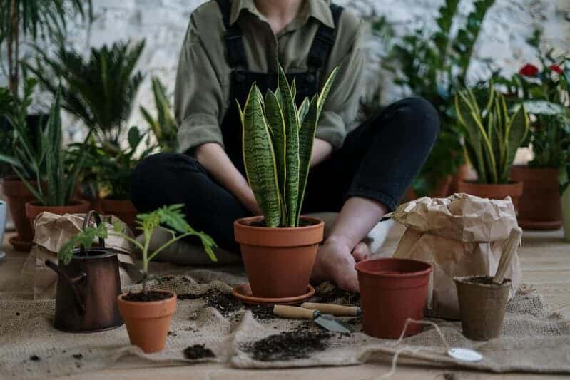 Gardening