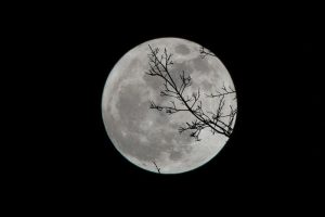 Lunar burnout