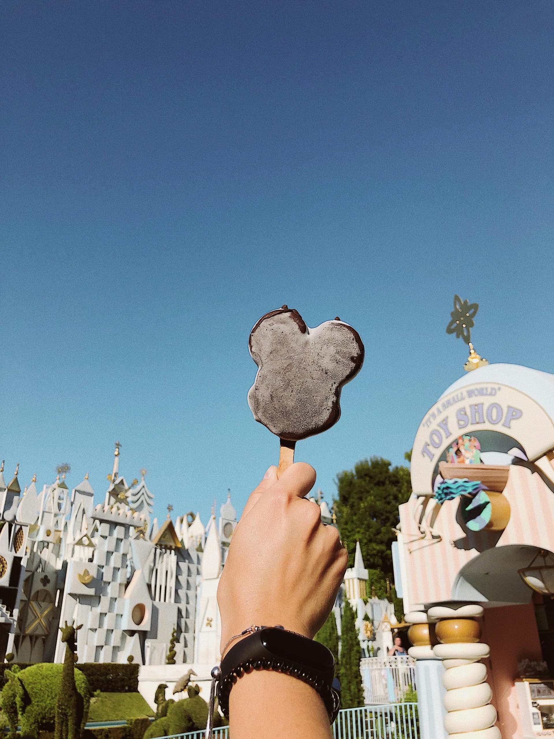 Disney World with ice cream