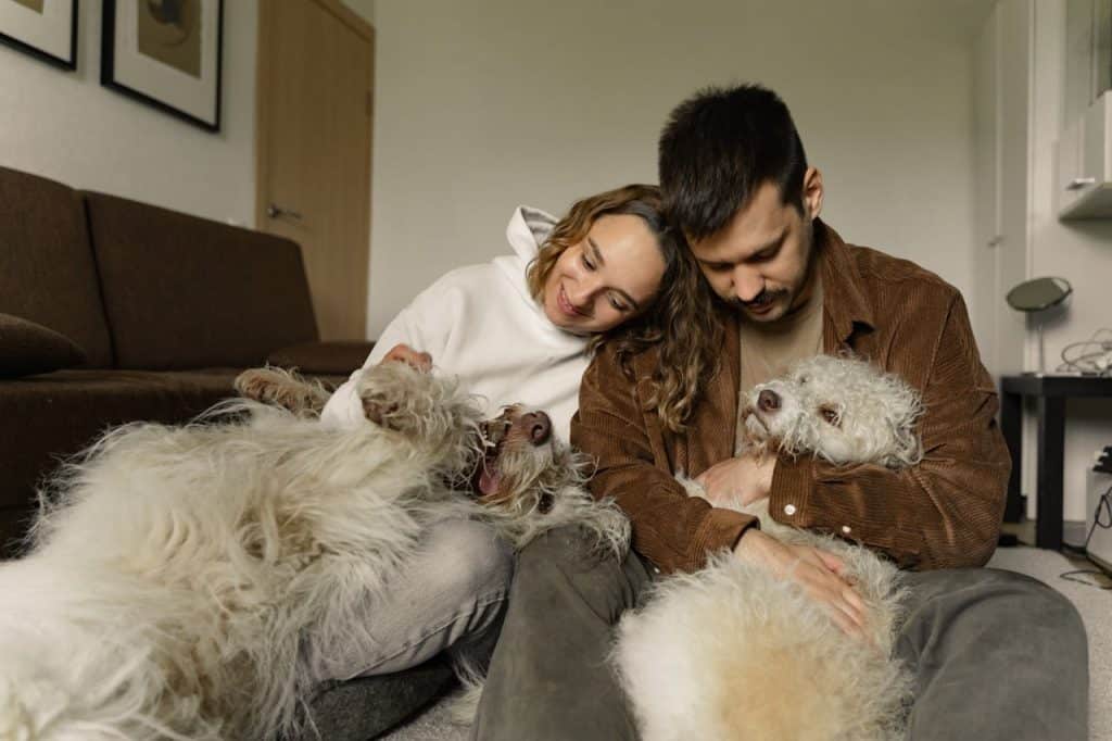 Pets and Mental Health