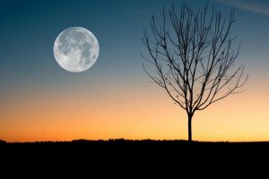 Full Moon in Sagittarius