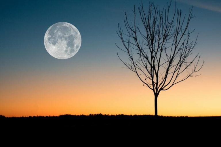 Full Moon in Sagittarius
