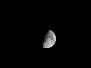 Moon Rituals