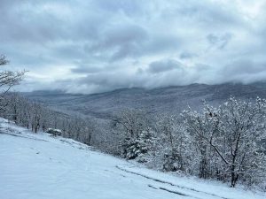New England