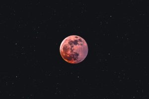 Strawberry Full Moon