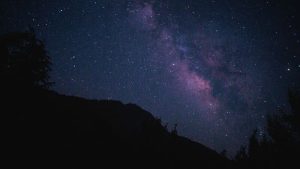 Venus in Taurus