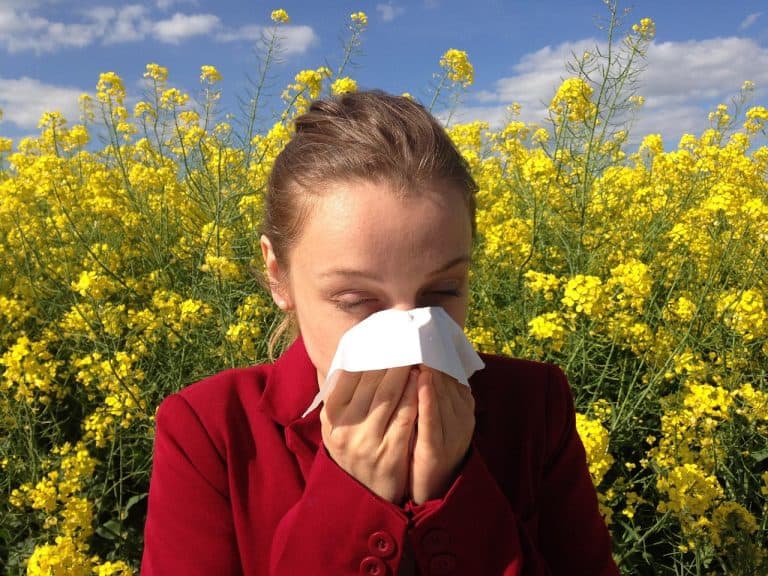 allergy, medical, allergic, allergen, health, medicine, pollen, reaction, allergy, allergy, allergy, allergy, allergy