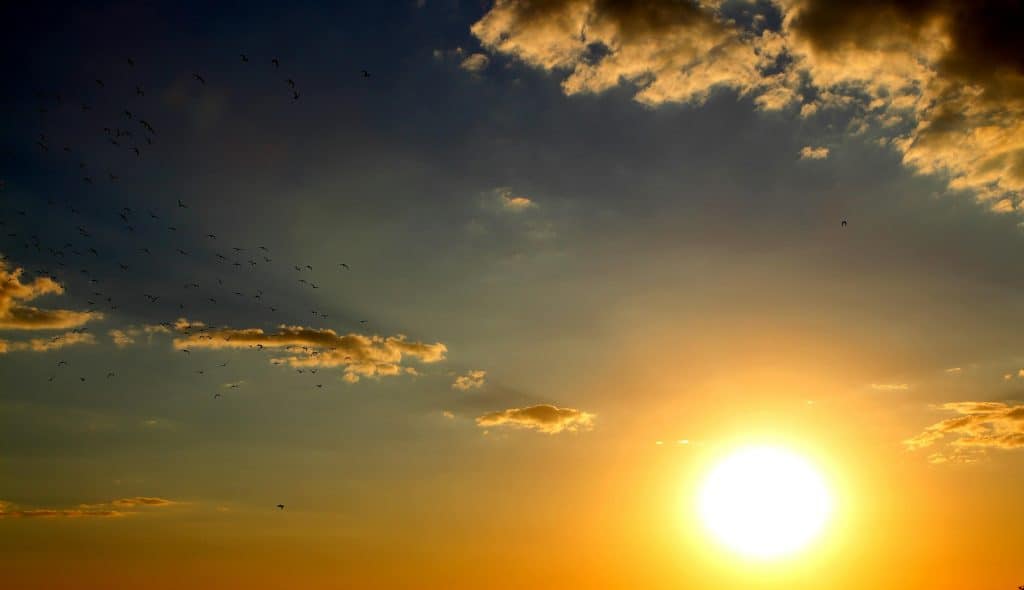 A breathtaking view of a golden sunset sky with birds silhouetted against clouds, daily devotion