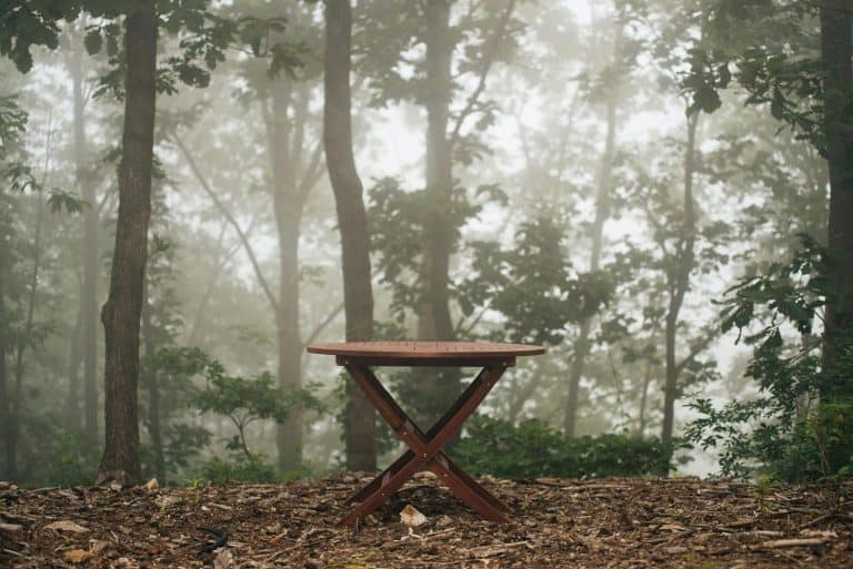 outdoor furniture, winterizing, A wooden table stands alone in a foggy forest, surrounded by dense trees and mist.