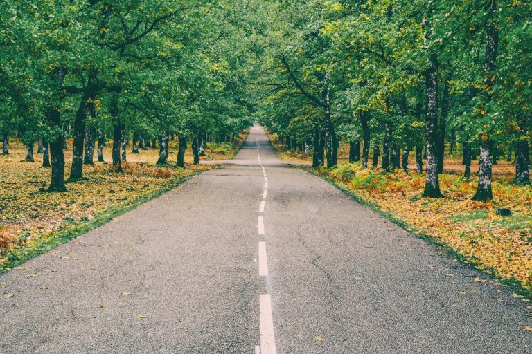 Peaceful road through vibrant autumn forest in Ilia, Greece with golden leaves. Lincoln Continental