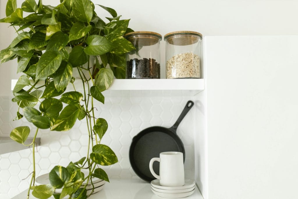 A stylish kitchen shelf with a pothos plant, ceramic cup, and glass jars for minimalist decor in winter, with indoor plants.
